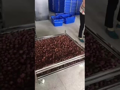 乾燥用ステンレス鋼のワイヤ網用車