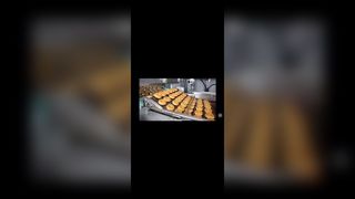 ステンレス鋼ピザオーブンはしごチェーンリンクコンベヤーフラットワイヤーメッシュフレックスベルトチョコレートエンローブ用、